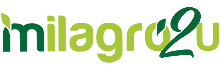 Milagro
